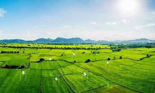 Purva Plots Guduvancheri